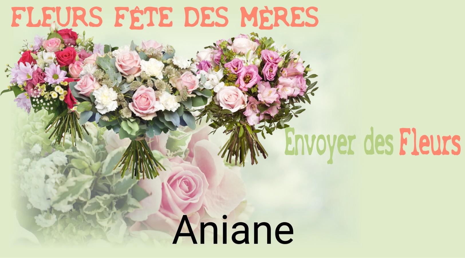 Bouquet de Fête des Mères livré à Aniane